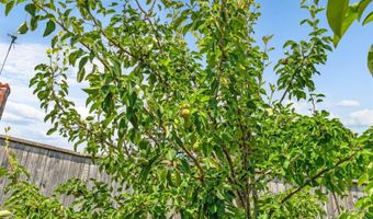 143 Maple St, Bangor, ME 04401