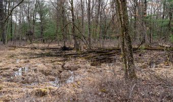 Dover Drive lot 1 14 Ac, Adams, WI 53910