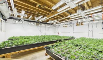 Fickle Hill Road, Arcata, CA 95521