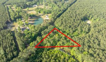 Ethridge Drive, Andrews, SC 29510