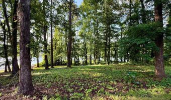 683 B Calhoun Dr, Abbeville, AL 36310