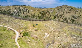 2384 Rist Creek Rd, Bellvue, CO 80512