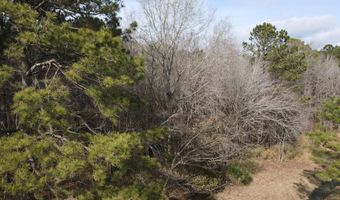 Tbd Highway 461, Ahoskie, NC 27910