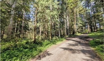 62955 E MOUNTAIN COUNTRY Ln, Brightwood, OR 97011