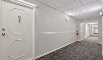 2479 Peachtree Rd NE 1517, Atlanta, GA 30305