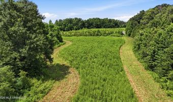 2363 Fugates Rd, Bentonia, MS 39040