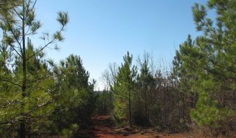 Buckhead Rd, Blair, SC 29015