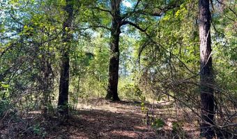 8645 Moores Mill Creek Rd, Baker, FL 32531