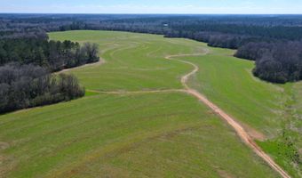 0 Tervin Mill Rd, Andalusia, AL 36421