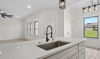 517 Madeleine Cir, Austin, AR 72007