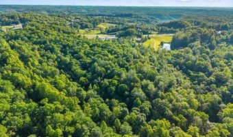 24 Joyful Spgs, Beattyville, KY 41311