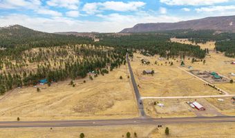 440 2104, Alpine, AZ 85920