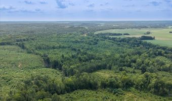 98 63 AC Pointer Rd, Alton, VA 24520
