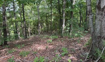 Cornerstone Pkwy lot 12, Allons, TN 38541