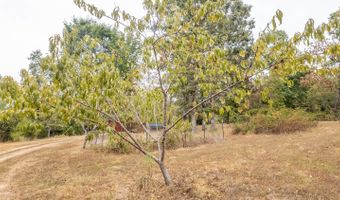 229 County Road 314, Alton, MO 65606
