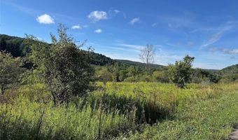 E Valley Road, Alfred, NY 14806