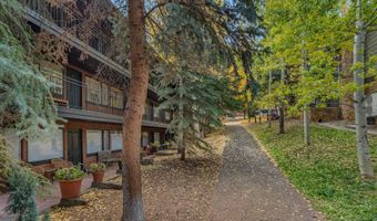 731 S Mill St 3A, Aspen, CO 81611