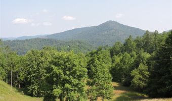 674 Johnson's River Bend Ln, Bakersville, NC 28705