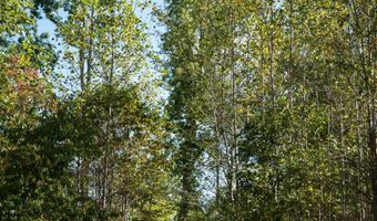 501 Caldwell Rd, Blacksburg, SC 29702