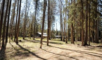 518 Eastman Dr, Bigfork, MT 59911