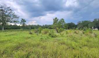 Lovedale Road, Bascom, FL 32423