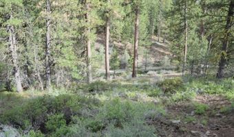 Whitetail Lane Lot 22, Bonanza, OR 97623