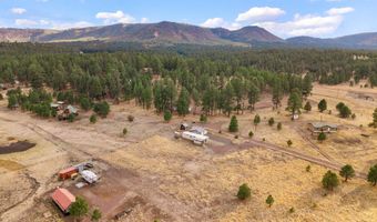 4 County Road 2110, Alpine, AZ 85920