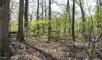 000 N Plainview, Anderson, MO 64831