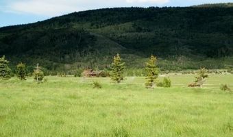 1185 S SORENSEN Way, Alta, WY 83414