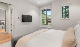 971 Ute Ave, Aspen, CO 81611