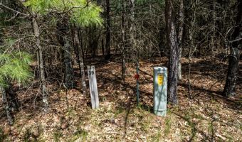 S Badger Lane lot 39, Arkdale, WI 54613