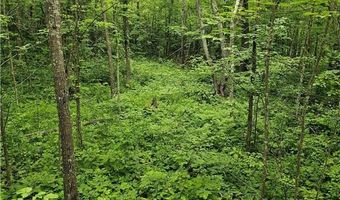 0000 280th Pl, Aitkin, MN 56431