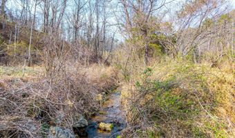 Puppy Creek, Amherst, VA 24521