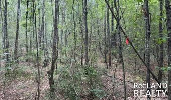 TBD-0 Yeldell Rd, Bastrop, LA 71220