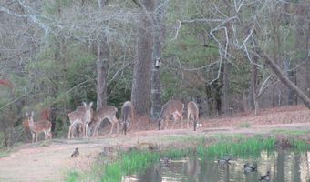 475 Douglas Dr, Beech Island, SC 29842