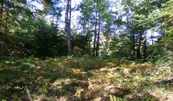 V/L 30AC Lake Winyah Road, Alpena, MI 49707