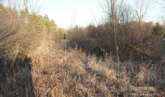 V/L Fawn Path Parcel A, Allegan, MI 49010