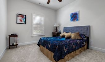 517 Seeport Dr, Allen, TX 75013