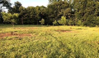 1071 LR 3, Ashdown, AR 71822