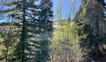 111 Scott Hill Rd 17, Beaver Creek, CO 81620