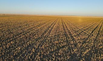 State Highway 214, Adrian, TX 79001