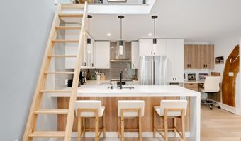910 W Hallam St 9, Aspen, CO 81611
