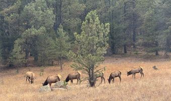 TBD County Road 59, Allenspark, CO 80510