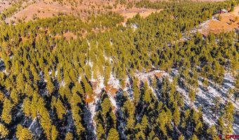 TBD Lot 11 Beaver Creek Ranch Drive, Bayfield, CO 81122