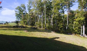 596 DOERR Rd, Accident, MD 21520