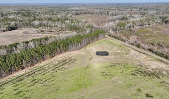 00002 Johnson Line Rd, Bolton, MS 39041