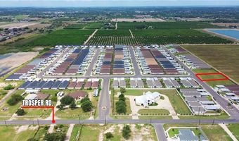 900 Sunset Valley St, Alton, TX 78573