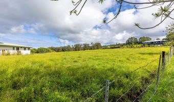 29-605 CHIN CHUCK Rd, Hakalau, HI 96710