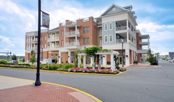 12001 OLD VINE Blvd 3E306, Lewes, DE 19958