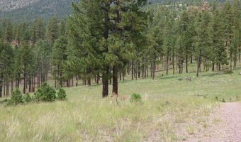 Lot 25a The Ranch At Alpine, Alpine, AZ 85920